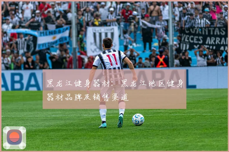 黑龙江健身器材：黑龙江地区健身器材品牌及销售渠道