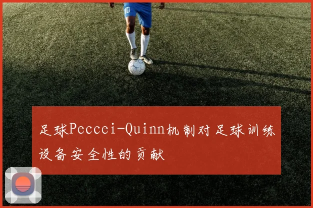 足球Peccei-Quinn机制对足球训练设备安全性的贡献