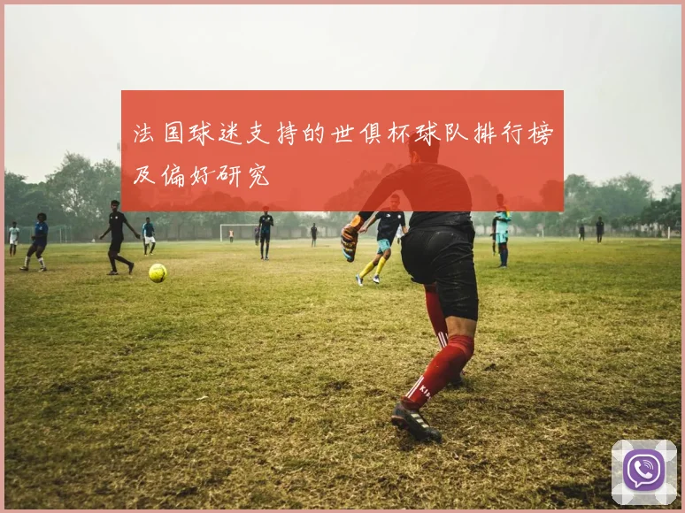 法国球迷支持的世俱杯球队排行榜及偏好研究