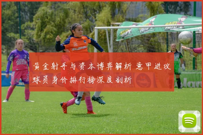 黄金射手与资本博弈解析 意甲进攻球员身价排行榜深度剖析