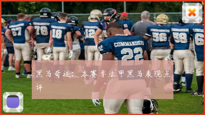 黑马奇迹：本赛季法甲黑马表现点评