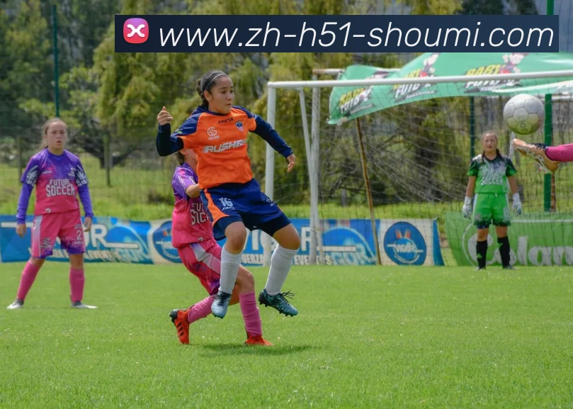 收米体育直播平台生态图